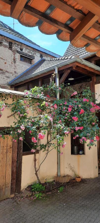 Apartament La Charpenterie Bergheim Zewnętrze zdjęcie